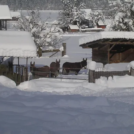 Beim Winkler Gasthof 3*